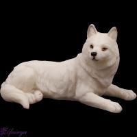 Junger liegender Polarwolf